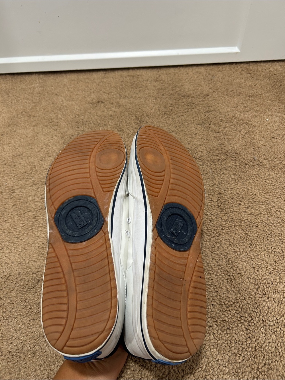 Keds White Sneakers with Navy Heel and Red-Blue Tongue Trim - Picture 4 of 7